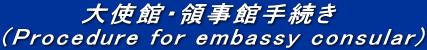 大使館・領事館手続き (Procedure for embassy consular)