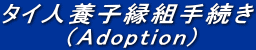 タイ人養子縁組手続き (Adoption)